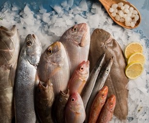 Pourquoi les poissons sont un élément important de notre alimentation ?